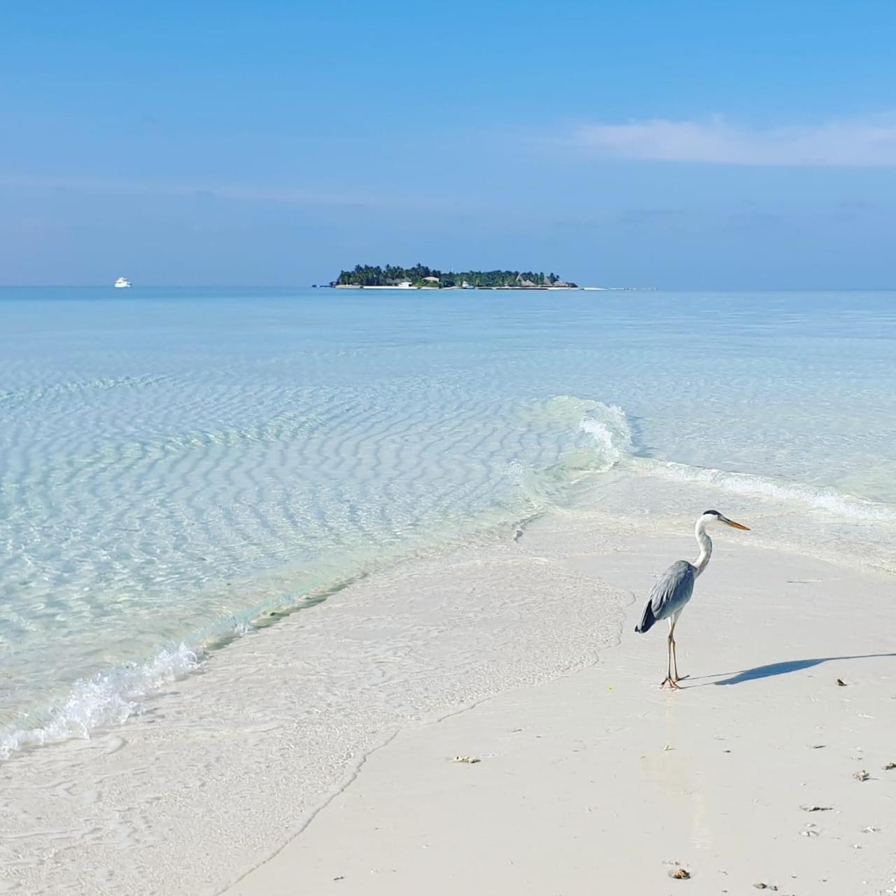 Ukulhas Villa Beach Hotel 외부 사진